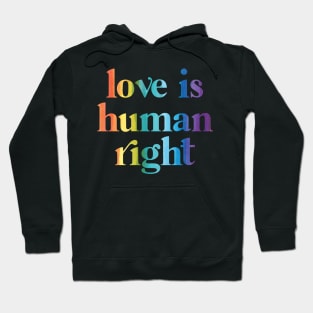 Love is human right Hoodie